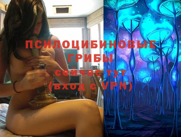 спайс Аркадак