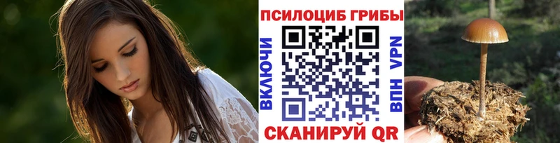 Купить закладки  Яранск  Псилоцибиновые грибы Psilocybe 